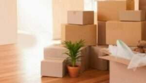 Packers and Movers Anand Nagar