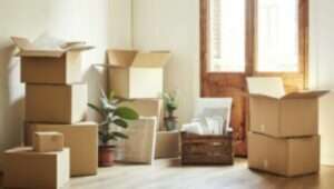 Packers and Movers Palava